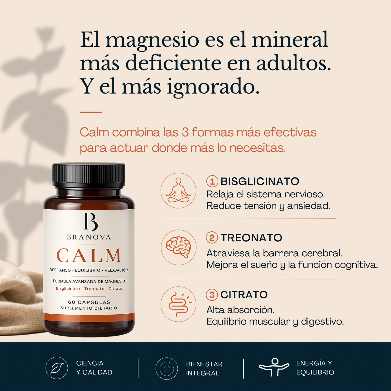 Branova Calm | Bienestar para tu Mente y tu Cuerpo