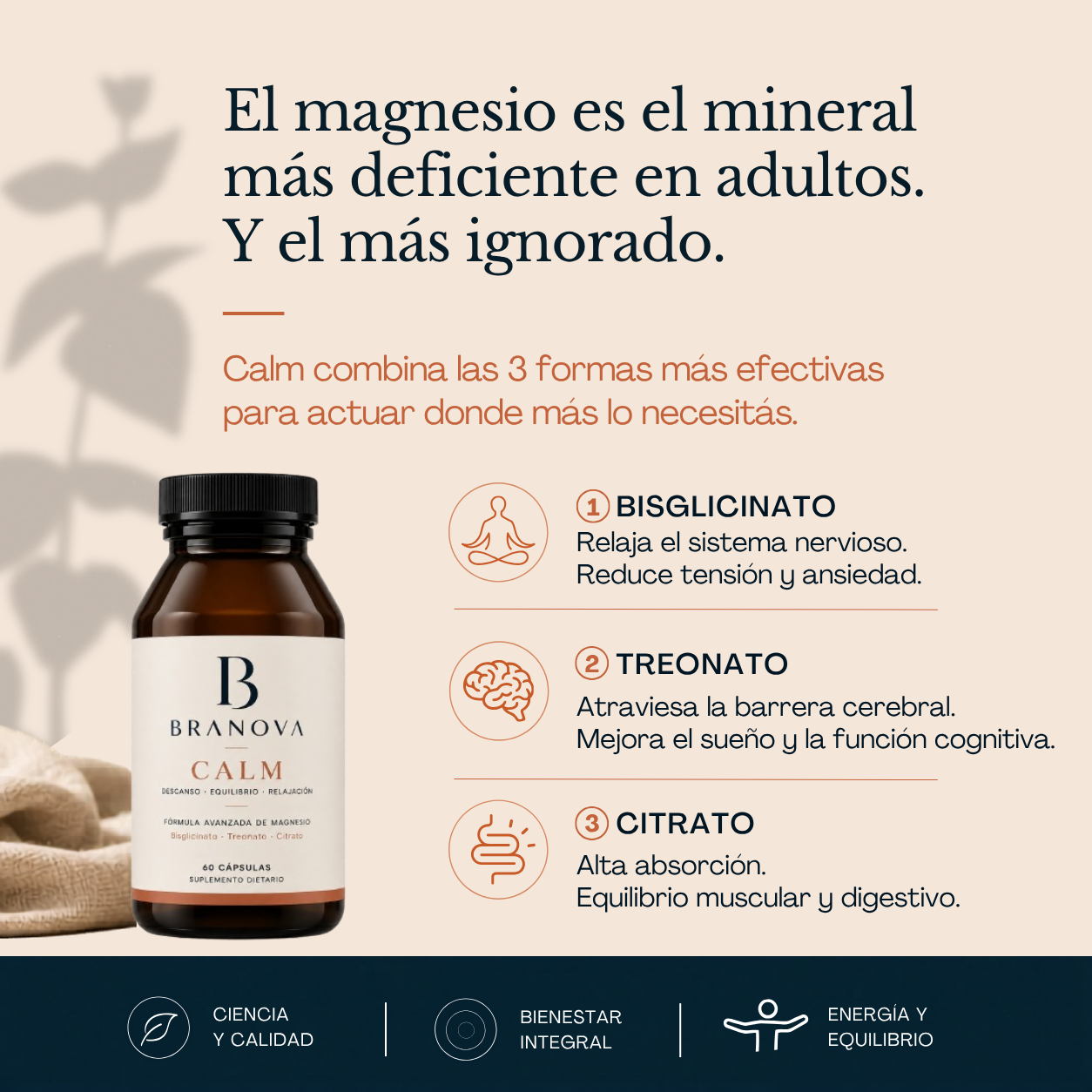 Branova Calm | Bienestar para tu Mente y tu Cuerpo